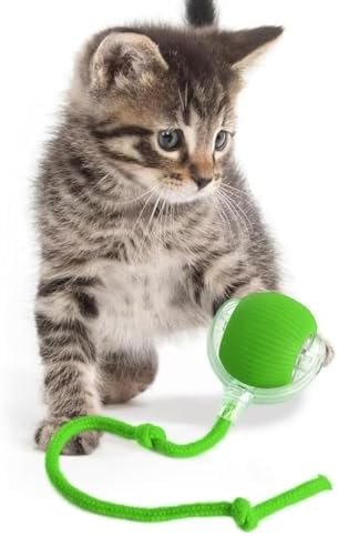 KQLHLHDYZ Jouet interactif pour chat - Balle électrique automatique - 3 modes - Mouvement irrégulier - Jouets pour chats d'intérieur - Tous les sols et tapis disponibles