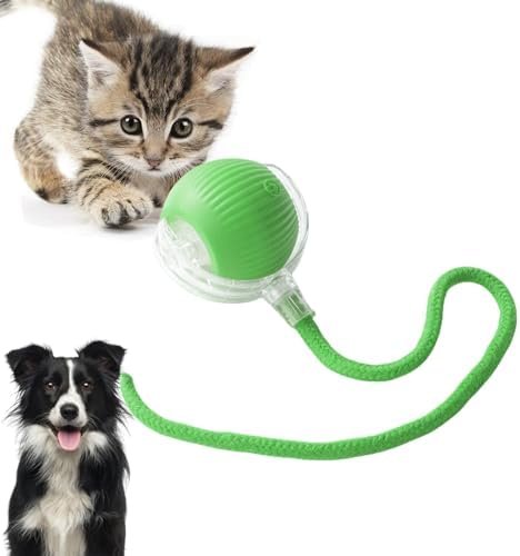 Loongroad Jouet interactif pour chat, jouet électrique pour chat, jouet interactif pour chien et chat, trois modes réglables avec fonction de réveil pour chiens et chats de petite et moyenne taille