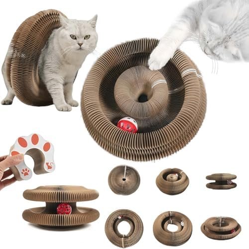 MHwan Jouet Chat, Grattoir Chat 2 en 1 et Jouet pour Chaton avec Cloche, Résistant aux Rayures et Durable, Design en Accordéon, Plusieurs Changements de Forme, Pliable pour Le Rangement