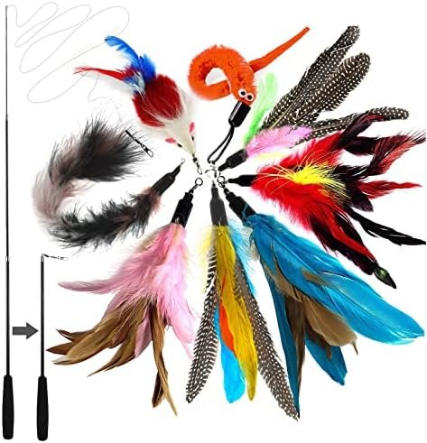 Jouet Chat Plume, Jouets pour Chats à Plumes, 1 Rétractable Canne à Pêche Chat Jouet avec 8 Recharges,Interacti pour l'intérieur Chats et Chatons(9 PCS)
