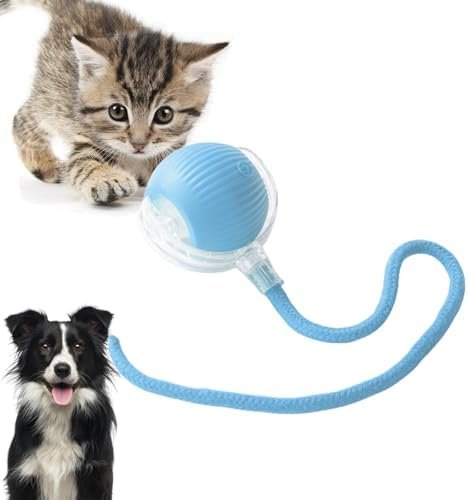 Loongroad Jouet interactif pour chat et chien, jouet électrique à balle intelligente, trois modes réglables avec fonction de réveil pour chiens et chats de petite et moyenne taille