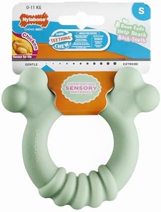 Nylabone, Anneau de Dentition pour Chiots en matière sensorielle, Jouet à mâcher, Goût : Poulet, Petit - pour Chiots jusqu'à 11 kg